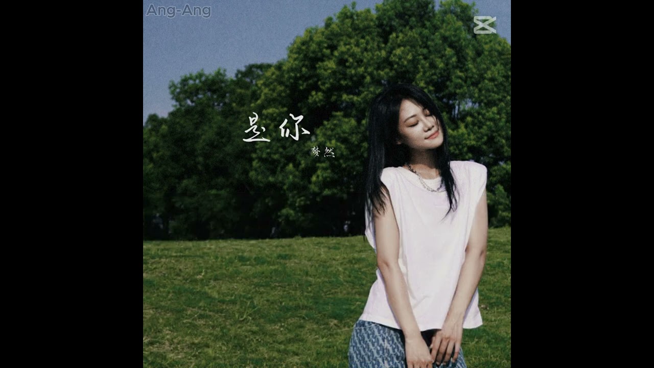 是你 (Shi Ni) By Meng Ran 梦然 [中字 + Pinyin] Lyrics