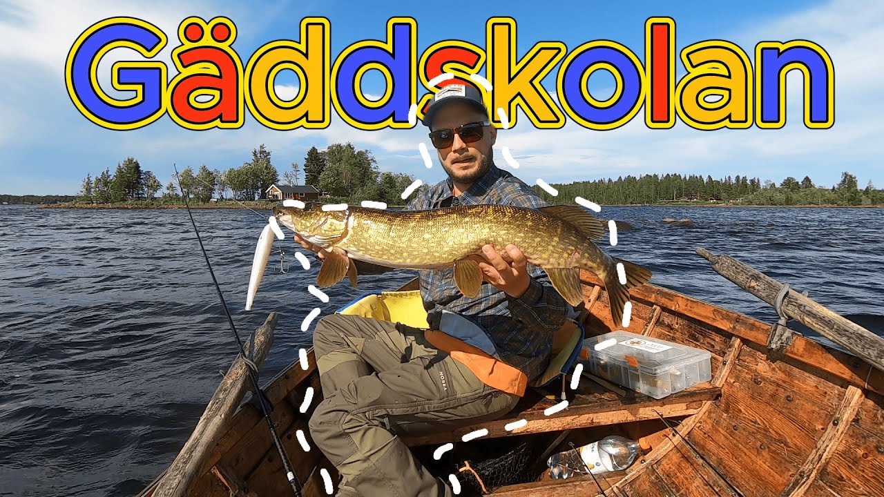 G&auml;ddskolan - L&auml;r dig fiska g&auml;dda! Bra tips f&ouml;r nyb&ouml;rjare.