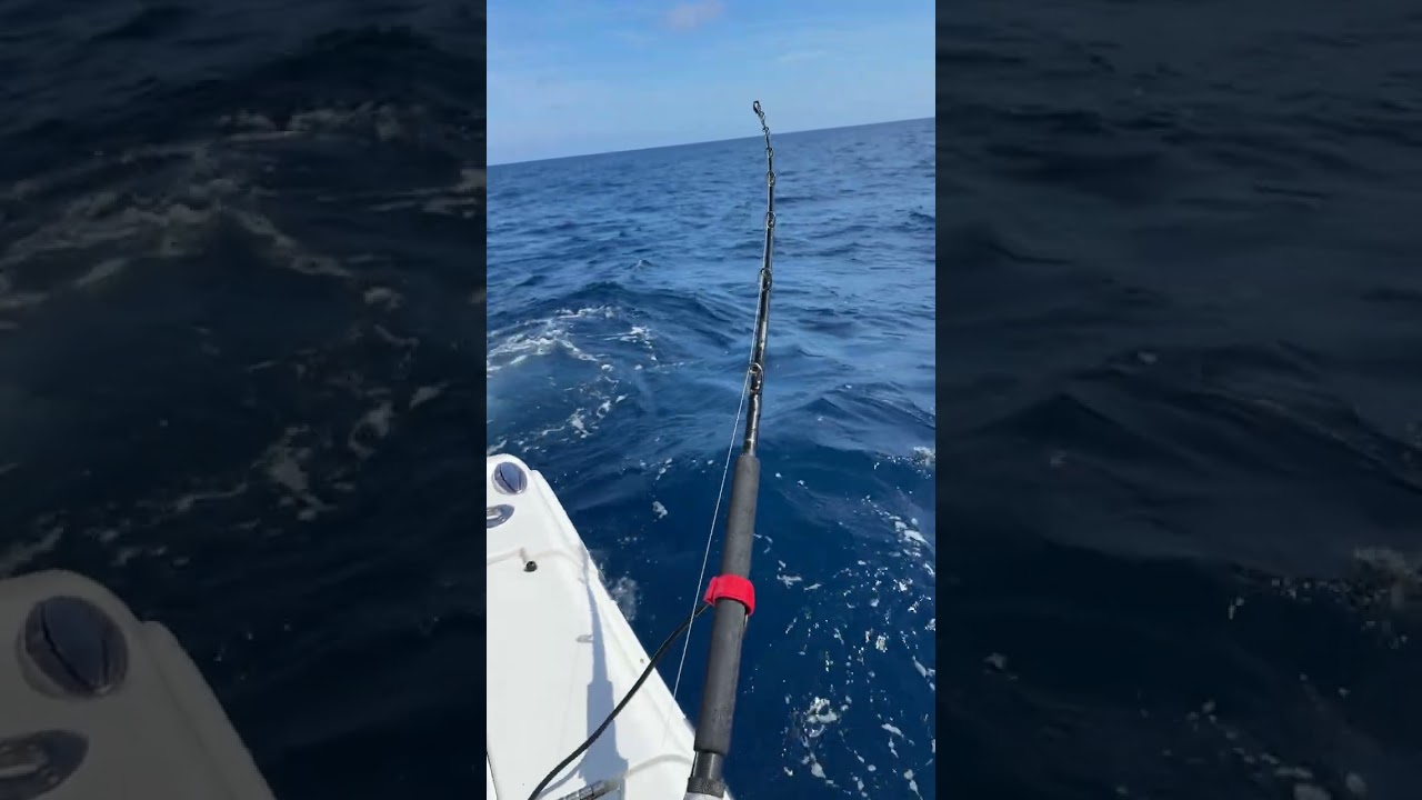 Deploying Halibut bar for deep drop 4 mph current. 