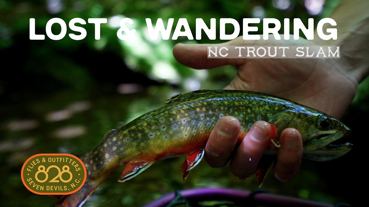 Fly Fishing for Wild Trout | Lost & Wandering - 828 Flies