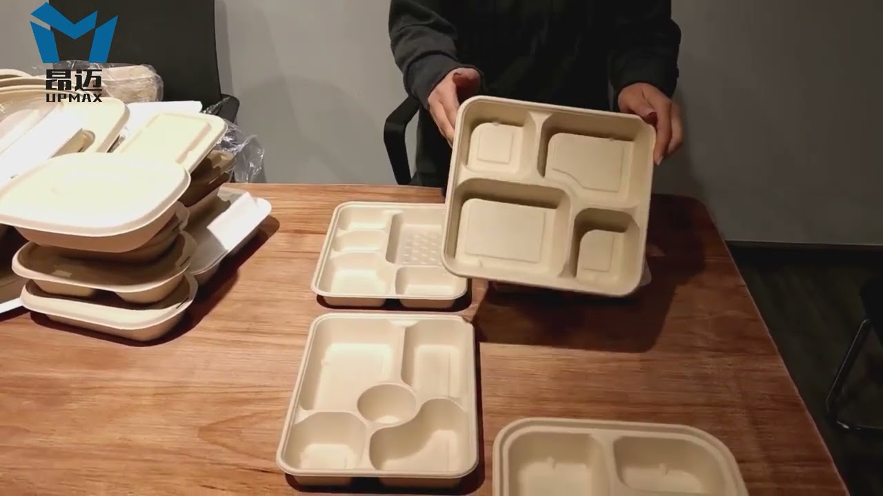 Bagasse pulp multi-compartment  tray with pulp lid, disposable dining container100%Home Compostable