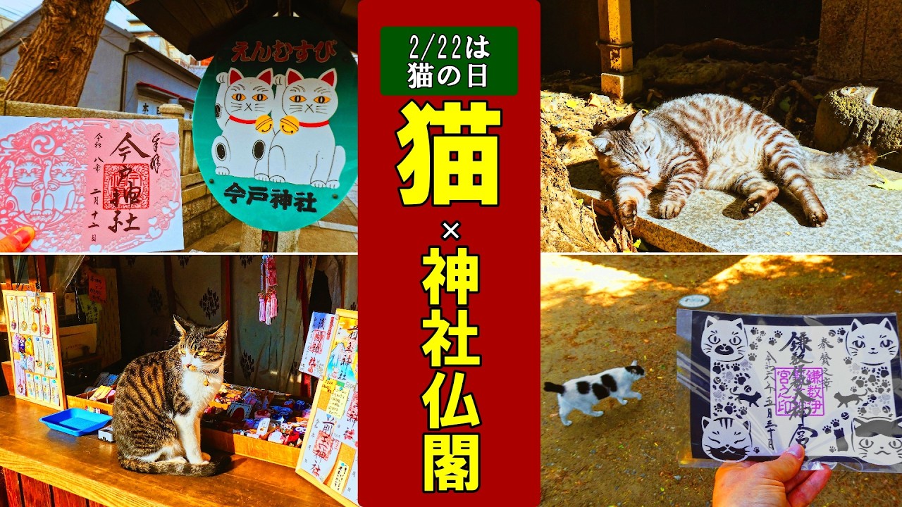【日本の神社仏閣旅】猫×神社仏閣まとめ