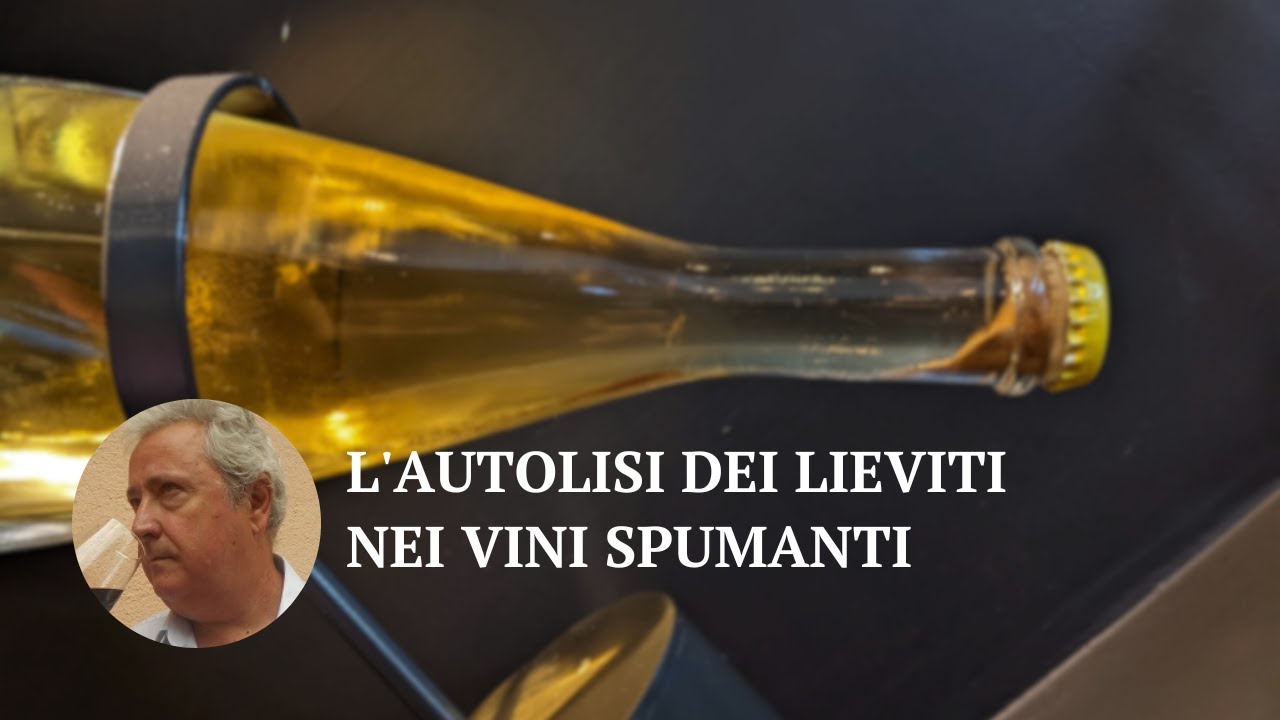L'autolisi dei lieviti nei vini spumanti