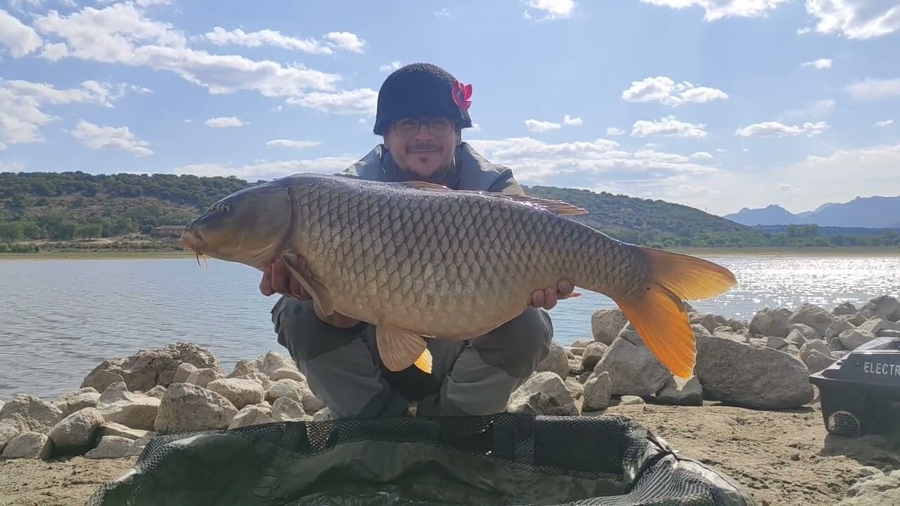 El tajo de arriba a abajo capítulo 3, carpfishing en el vellon