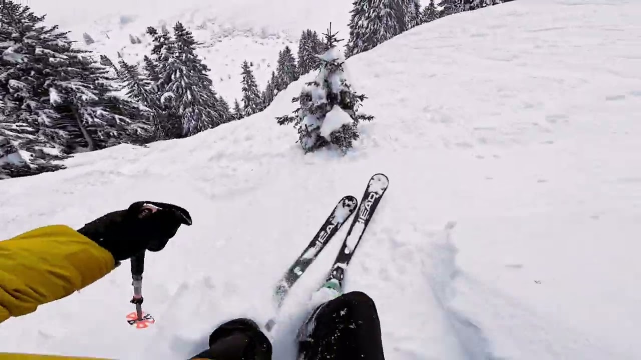 Decided to try my new piste skis, on a powder day 🤣🤦‍♂️