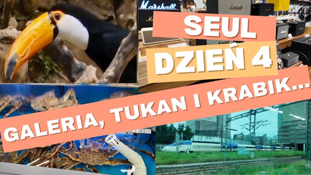 Seul, co robić? Czwarty dzień zwiedzania: Galeria handlowa Times Square Seoul oraz transport