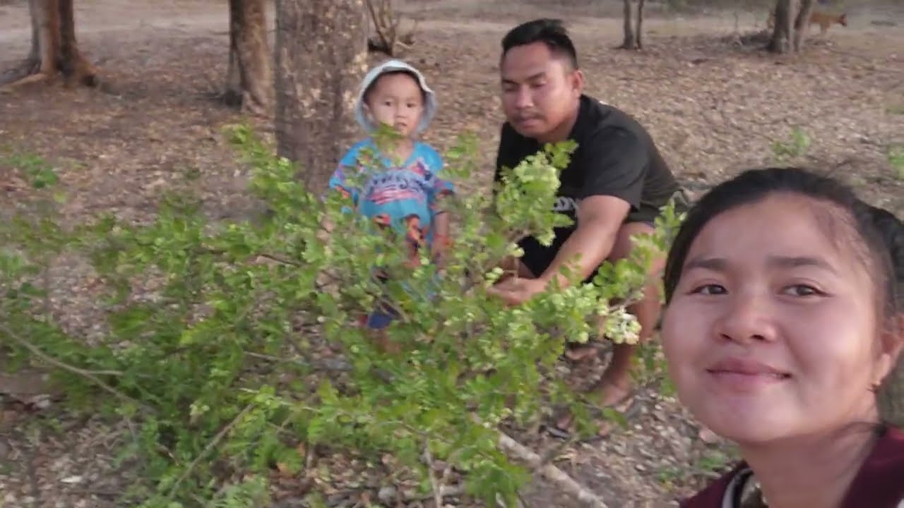 เดินตลาดป่าวันนี้เก็บดอกสัง​นำกันเด้อพี่น้อง​