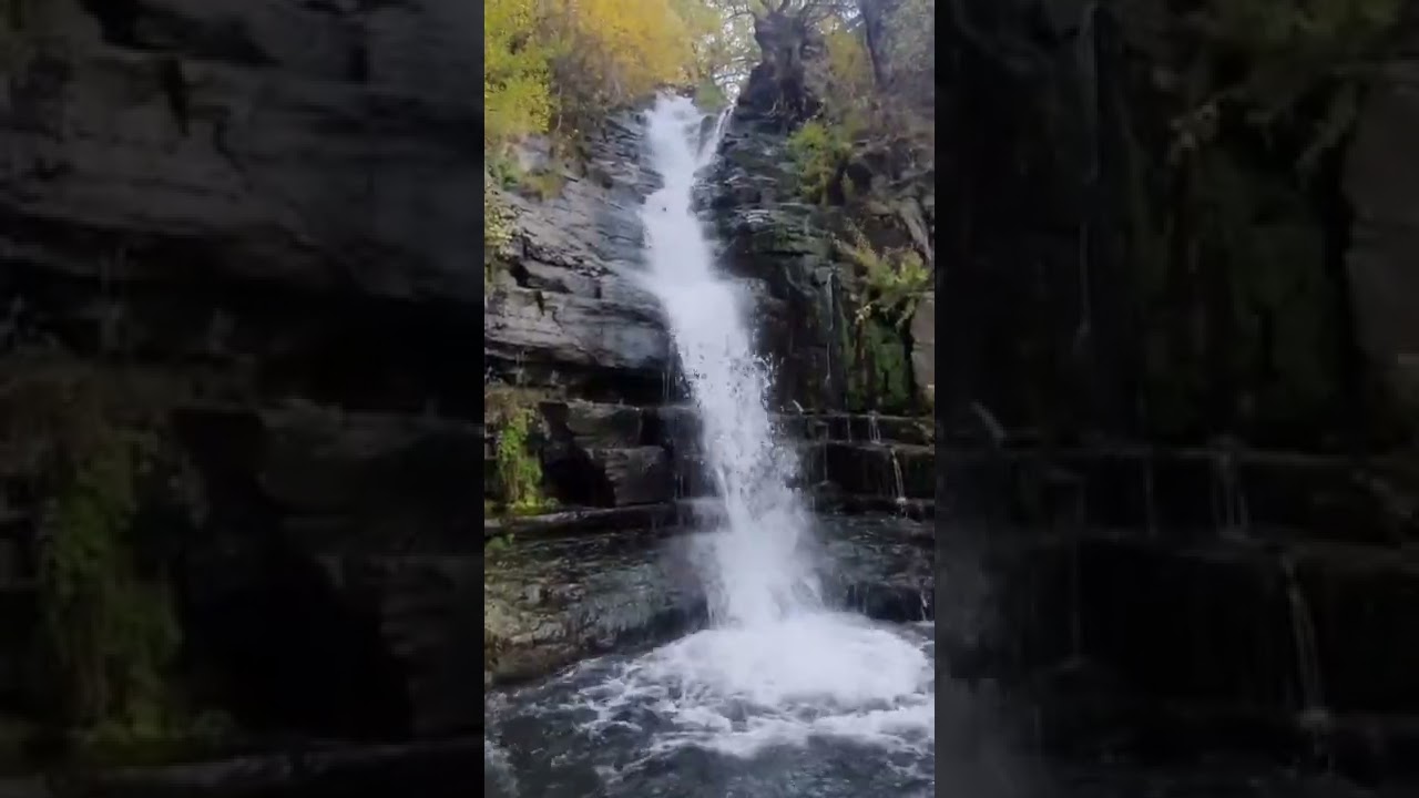 Խոսրովի արգելոց