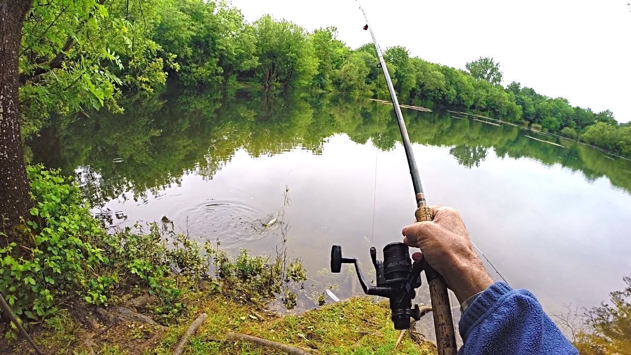 Fishing with Maggots, Worms and Bread