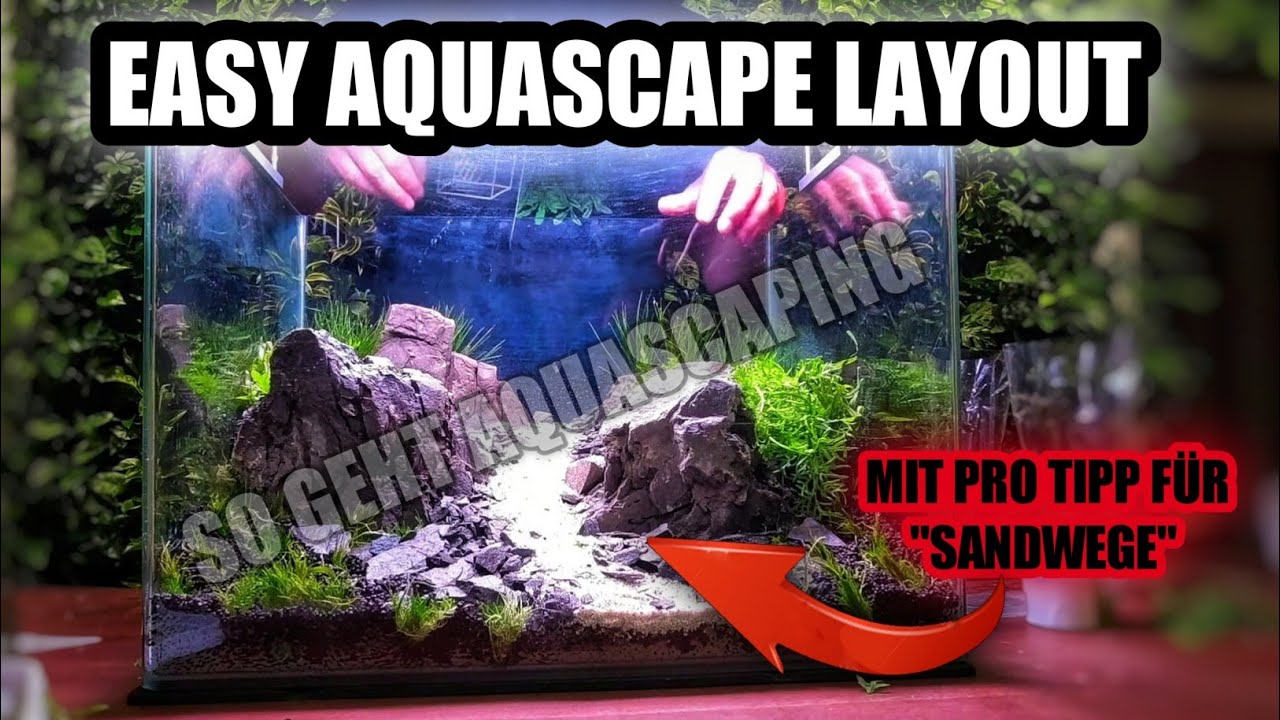So einfach ist Aquascaping | Easy Layout im NH Scaping Tank - 55l