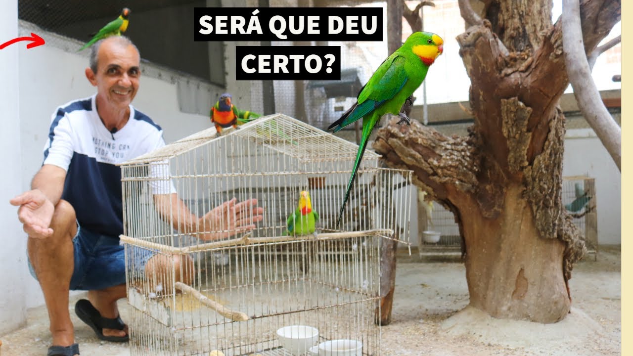SOLTAMOS UM 