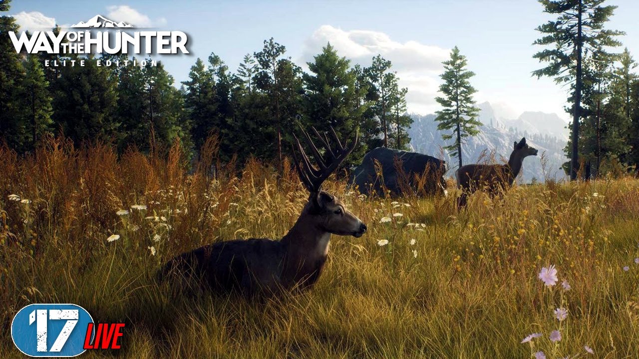 Way of the Hunter #17 LIVE | Aurora shores | Jagdsimulation | 2023  | deutsch | PC