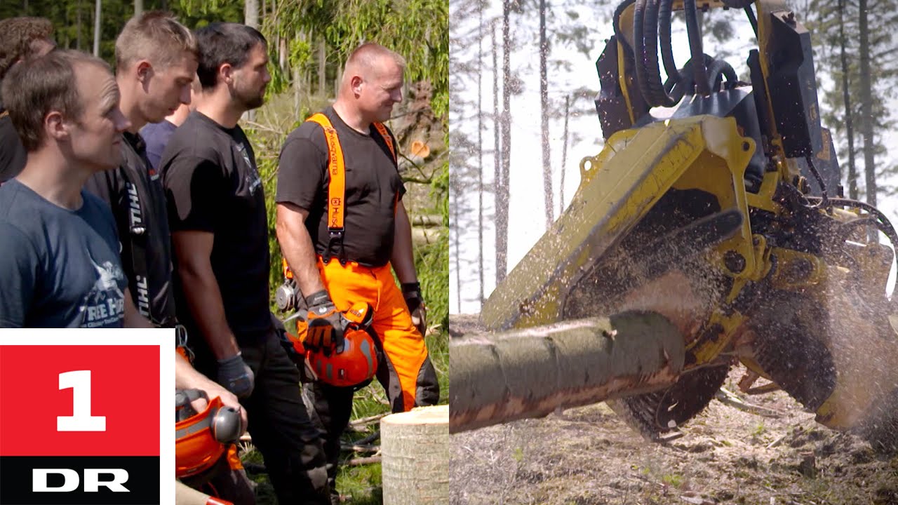 Mand vs. skovningsmaskine | Versus | DR1