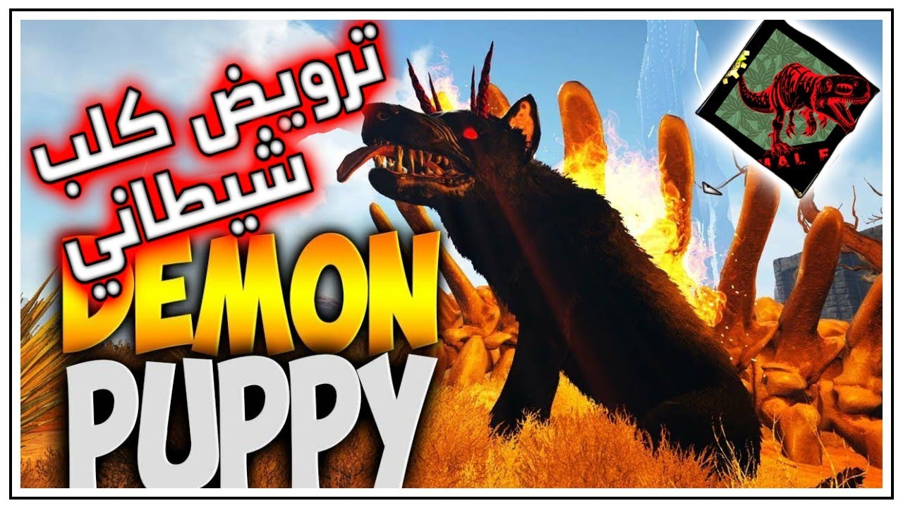 😮 ترويض كلب جهنم 😲 ark survival evolved primal fear #6