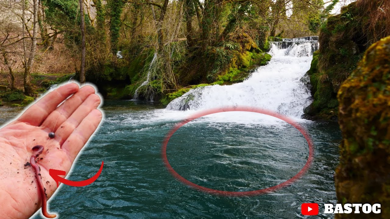 Je fais DESCENDRE un GROS VER dans ce TROU D'EAU quand SOUDAIN au PREMIER LANCER... !!