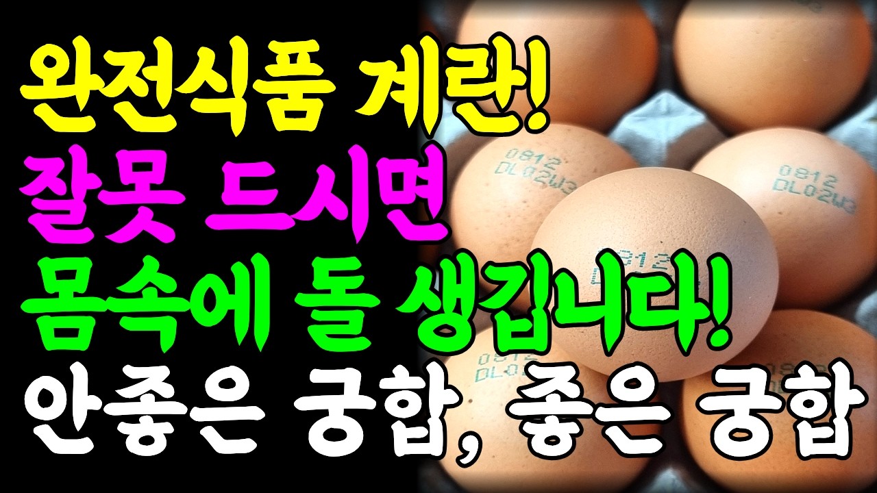 완전식품 계란! 안좋은 궁합 좋은 궁합 #건강정보 #계란효능 #뼈에좋은음식 #뼈건강 #골다공증예방