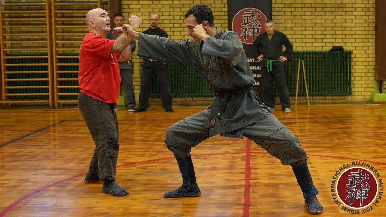International Ninjutsu Bujinkan Seminar, Buyukai Serbia, Novi Bečej, 2022