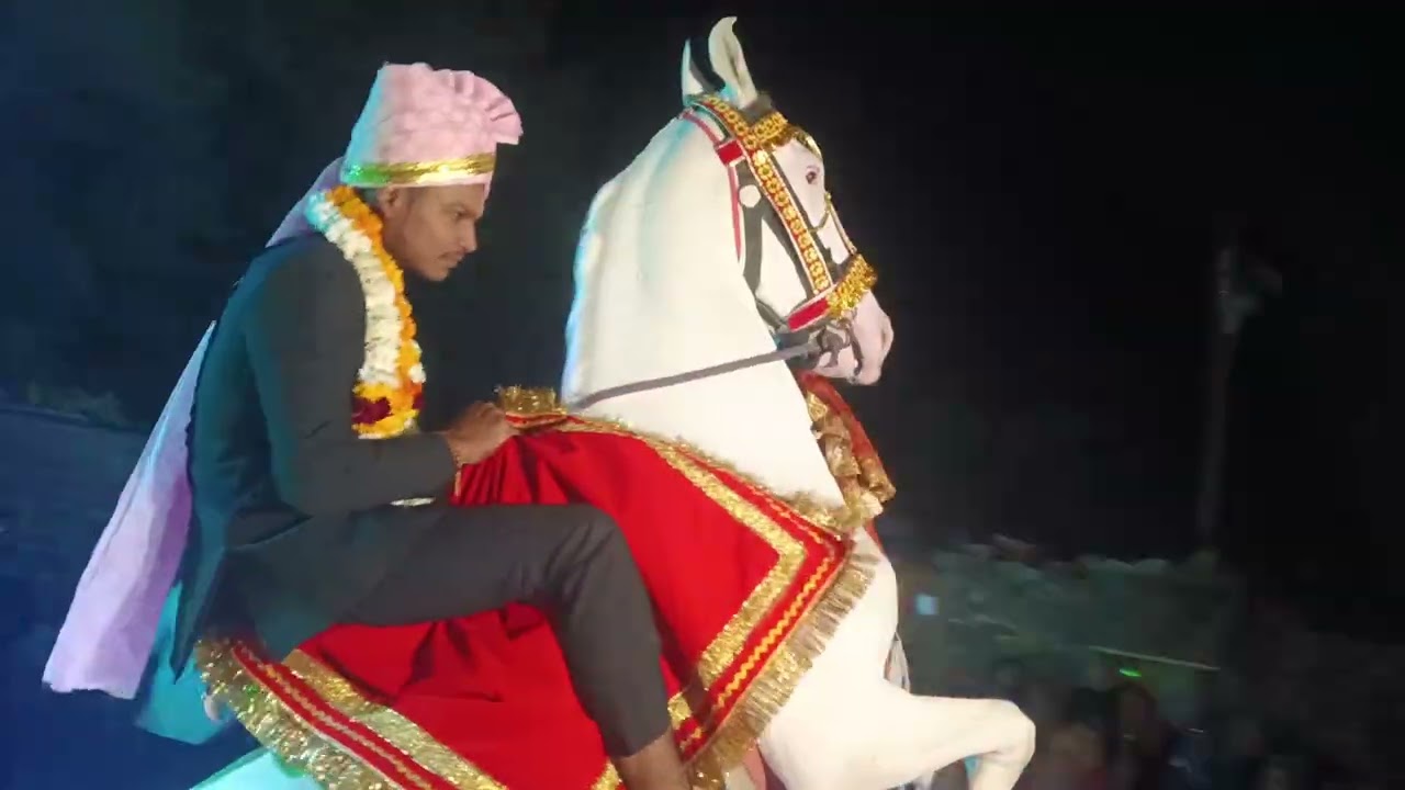 रौनक घोड़ी ब्यावर का माहौल देखना सब घोड़ी को देखने लग गए 