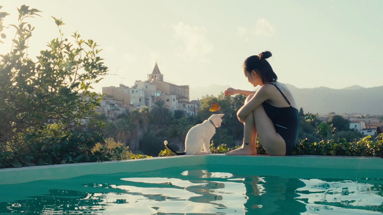 Stay in a 400-Year-Old Art House with Cats and a Dog in Mallorca