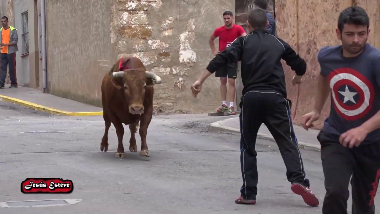 CASI SE METE LA VACA EN CABANES