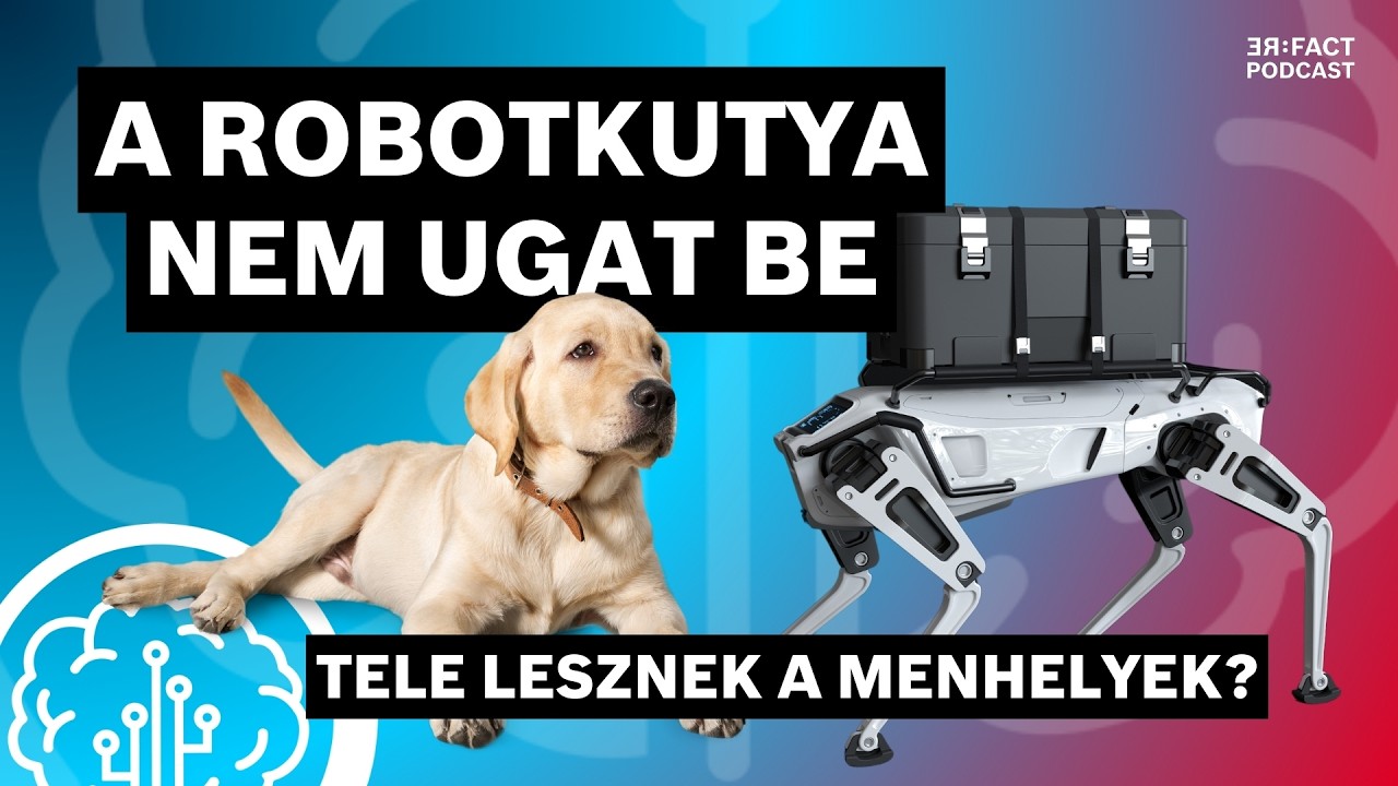 Világszenzációs magyar kutatás: a kutyák viselkedése adhatja meg a kulcsot a robotok jövőjéhez!