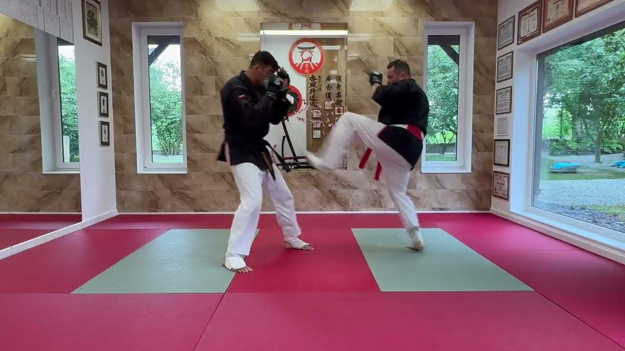 Ju Jitsu - Walka wręcz - (technika po technice)