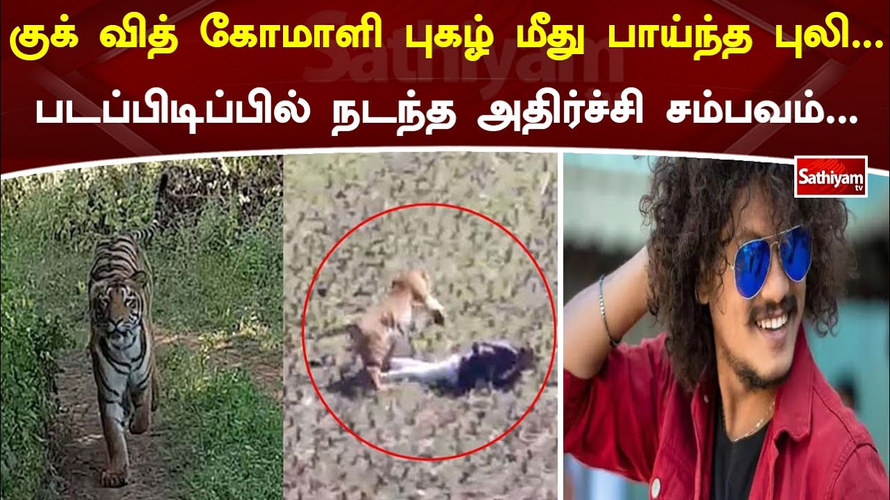 குக் வித் கோமாளி புகழ் மீது பாய்ந்த புலி… படப்பிடிப்பில் நடந்த அதிர்ச்சி சம்பவம்…