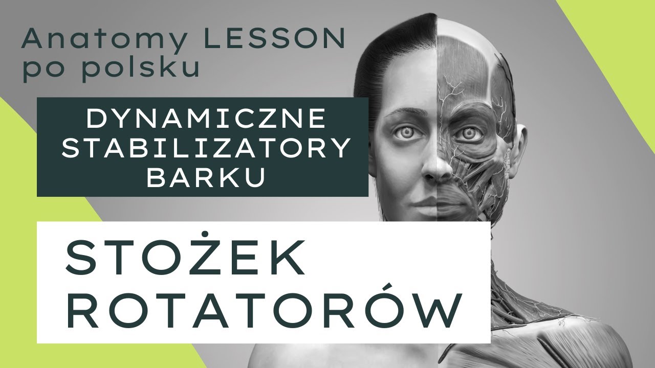 ANATOMY LESSON po polsku - #3 Stożek rotatorów - dynamiczne stabilizatory barku