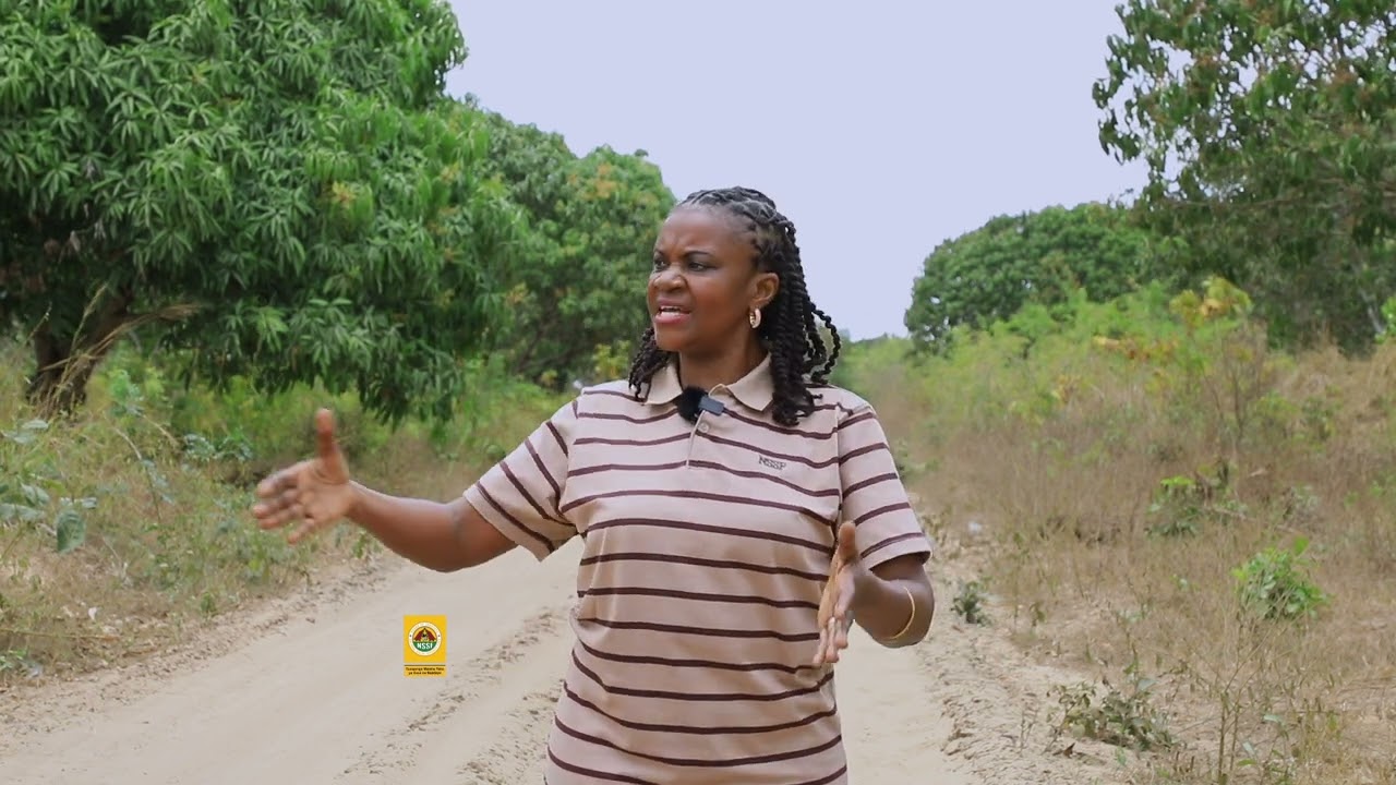 MIRADI YA VIWANJA VISIGA NA KILUVYA