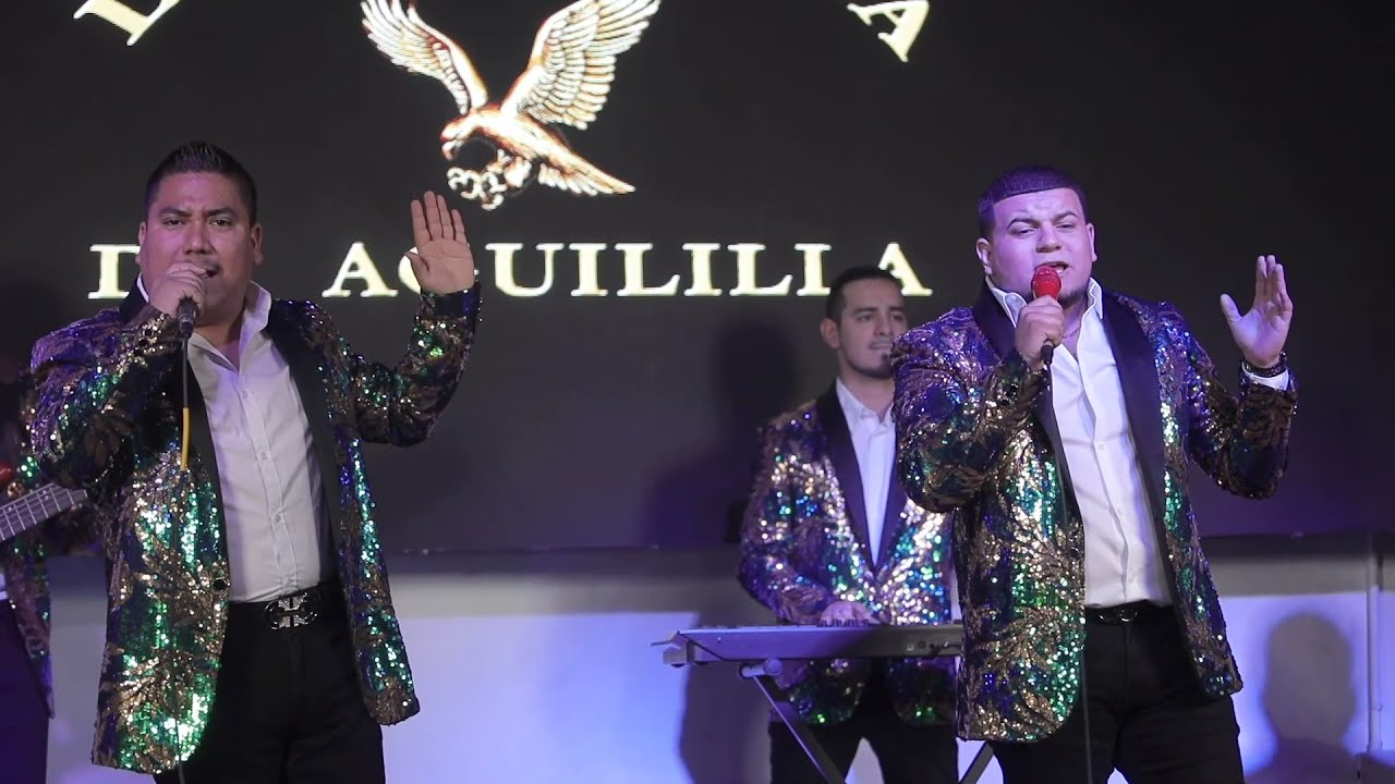 Una Aventura,  La Nobleza De Aguililla