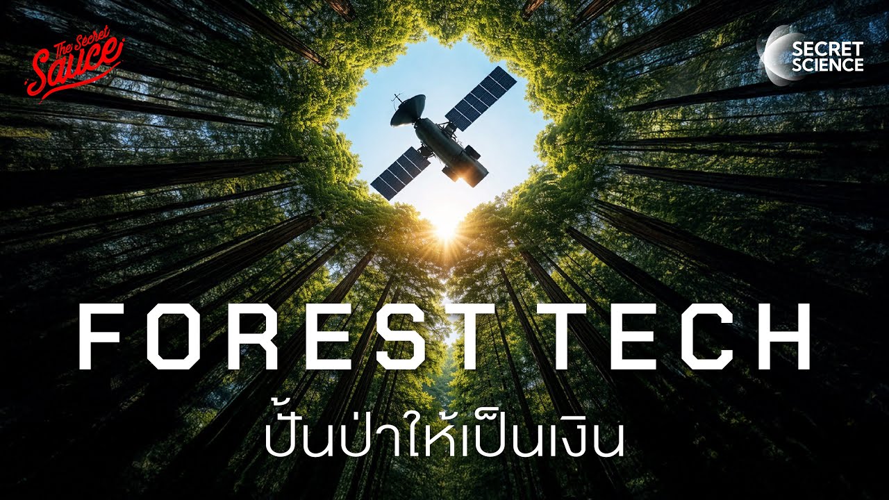 Forest Tech monetizes forests with forest technology | Secret Science EP.26