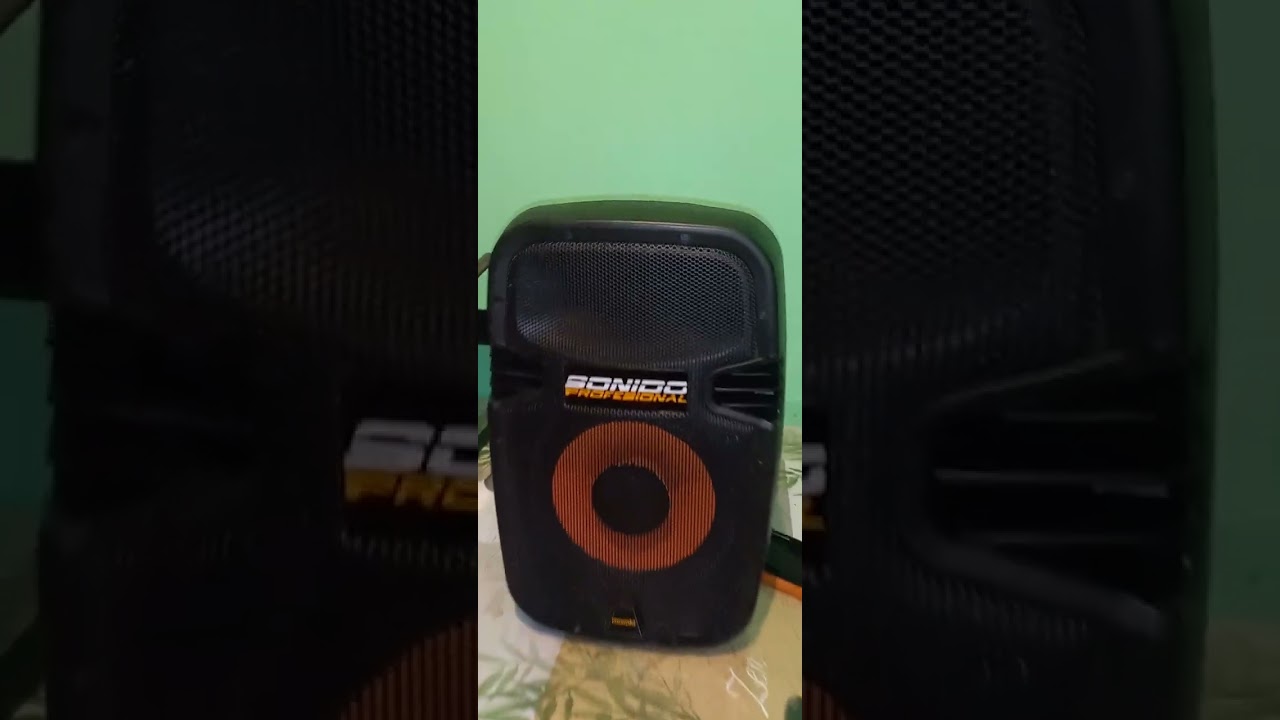 REVIEW PARLANTE MOONKI MS 1600 B (1600B) PROVINCIA DE SALTA. PRUEBA DE SONIDO.