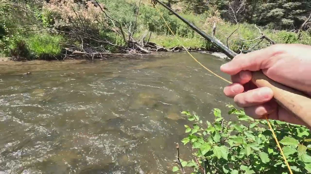 Fly Fishing in New Mexico - Rio Costilla River