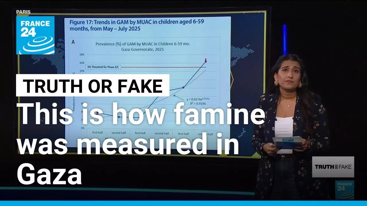 Famine in Gaza City: Did the UN's hunger monitor 'forge' the numbers? No &bull; FRANCE 24 English
