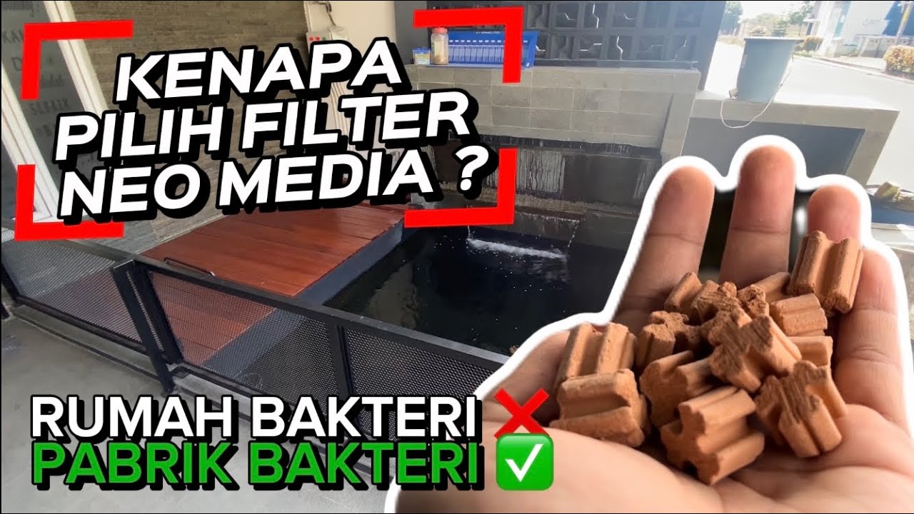 Neo Media | Media Filter Biologis Terbaik Untuk Kolam Koi