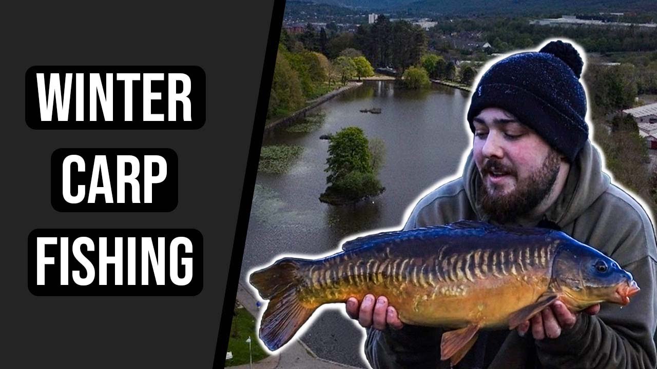 Carp fishing in Winter - Cyfarthfa Lake - Successful Cold Water Carping