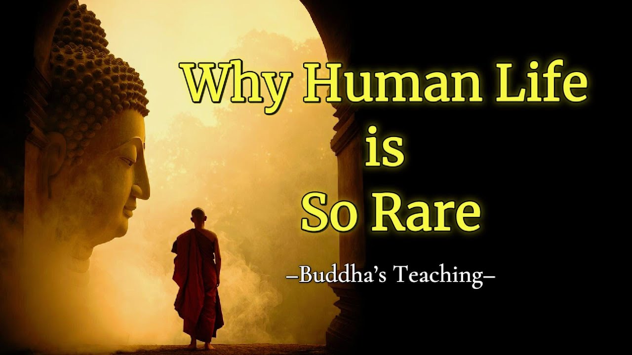 Why Is Human Life So Precious and Rare? Buddhism on the Chance to Wake Up