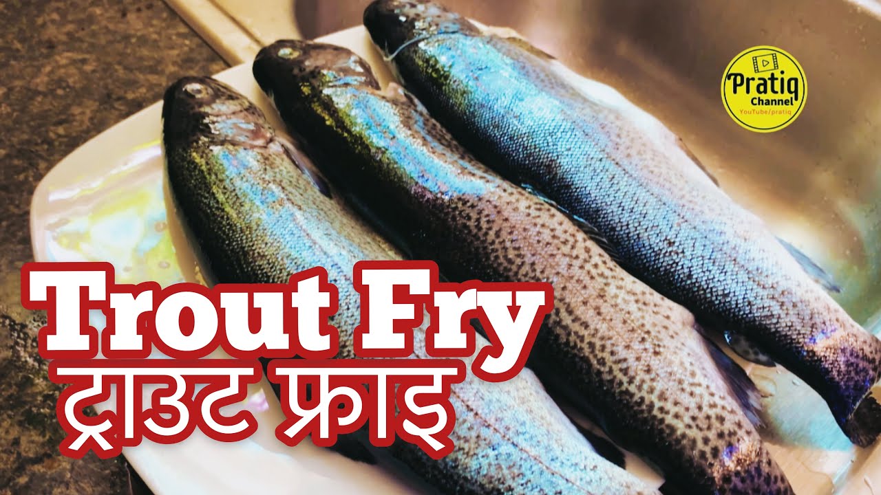 TROUT FRY | ROCKY MOUNTAIN TROUT FRY | Rainbow Trout Fry Nepali Style | OMEGA 3, B12 and YUM!