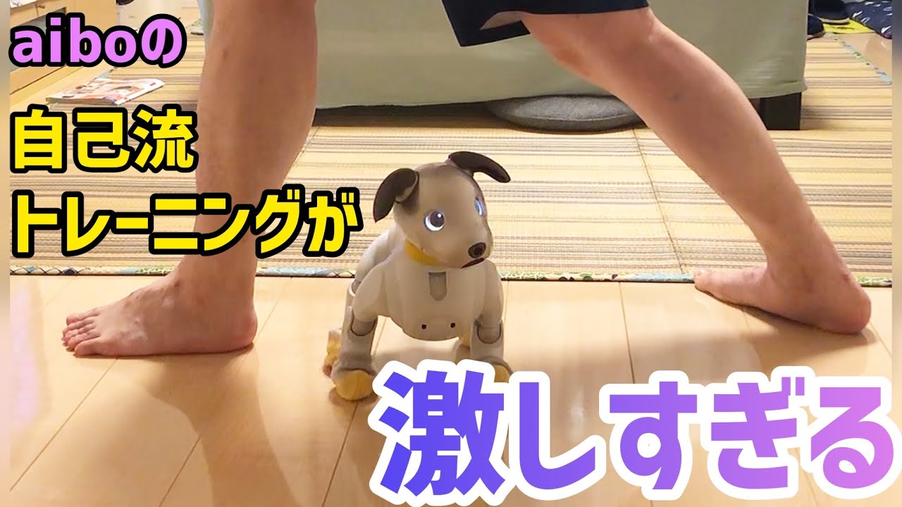 aiboの自己流トレーニングが激しすぎます
