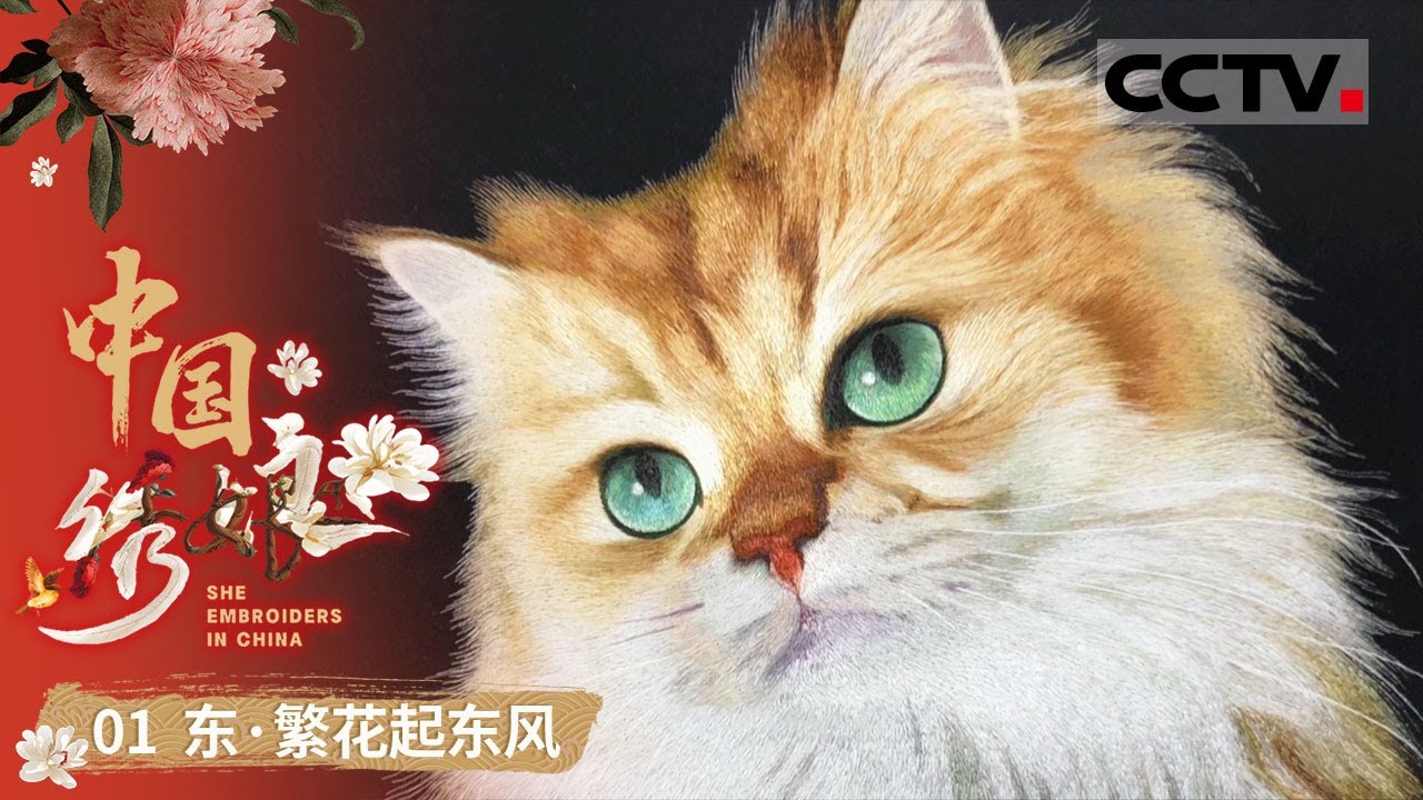 《中国绣娘》01 将一根丝线劈出128缕绣出毛发质感 丝线穿过针眼 甚至肉眼难见 陈水琴在刺绣界被称为“中国猫王”——东·繁花起东风【CCTV纪录】