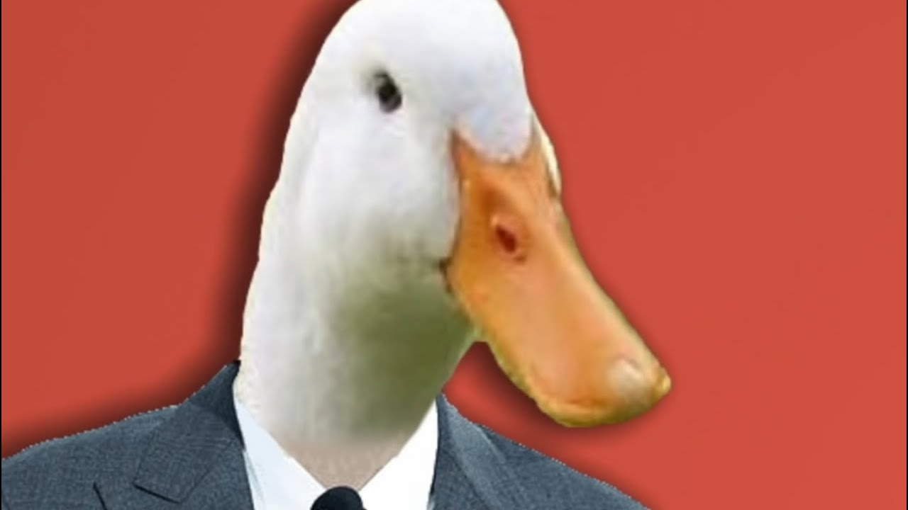 August the Duck out of context