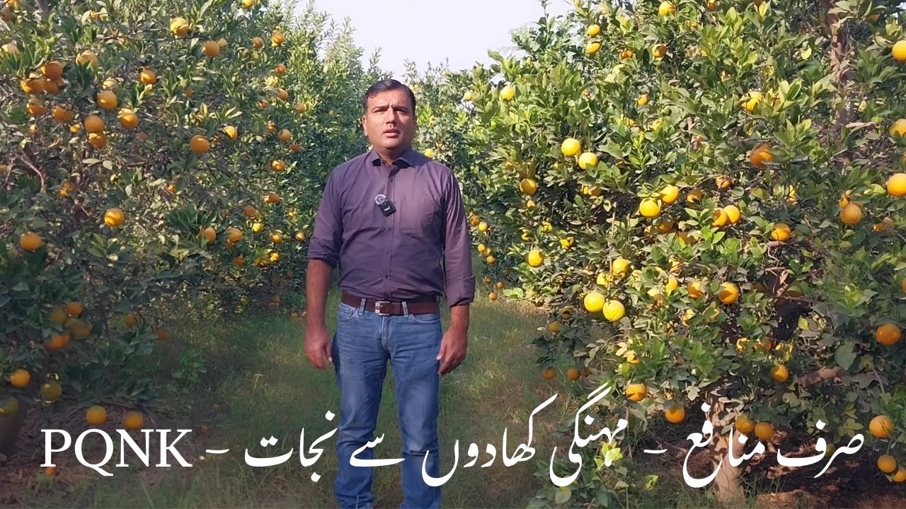 PQNK & Prosperity Model Explained | Organic Farming That Actually Works