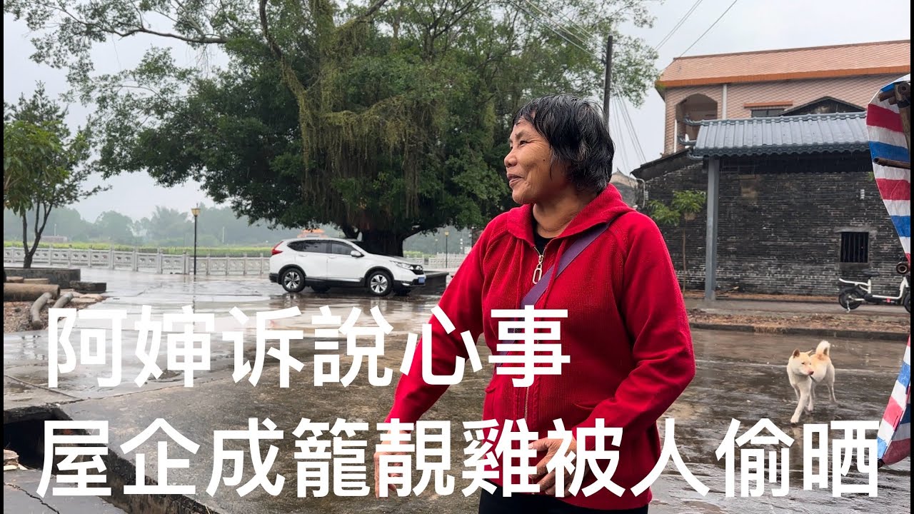 台山 Toishan 白沙鎮潮境龍蟠里“黃氏”聚居。聽屋檐雨水滴聲，更增添几分鄉愁。