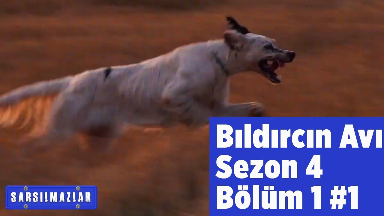 Bıldırcın Avı Sarsılmazlar 4. Sezon 1. Bölüm 1 Yaban Tv