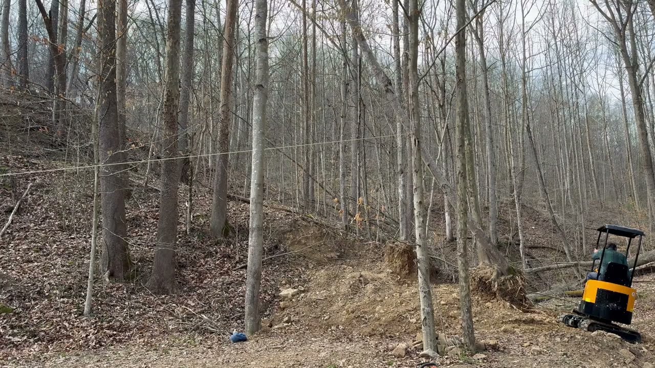 Chinese Mini Excavator Will it remove stumps !!! ?? Part 1