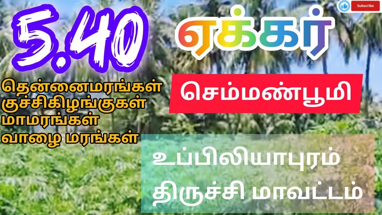 AL 27 -Agriculture Land near Uppiliyapuram, Trichy District (உப்பிலியபுரம் அருகே, திருச்சி மாவட்டம்