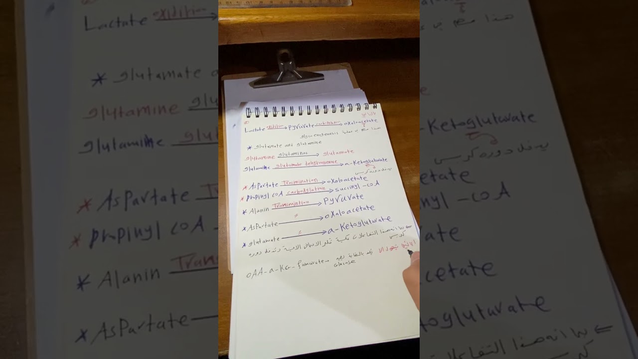 الجابتر الثالث الجزء الاخير 