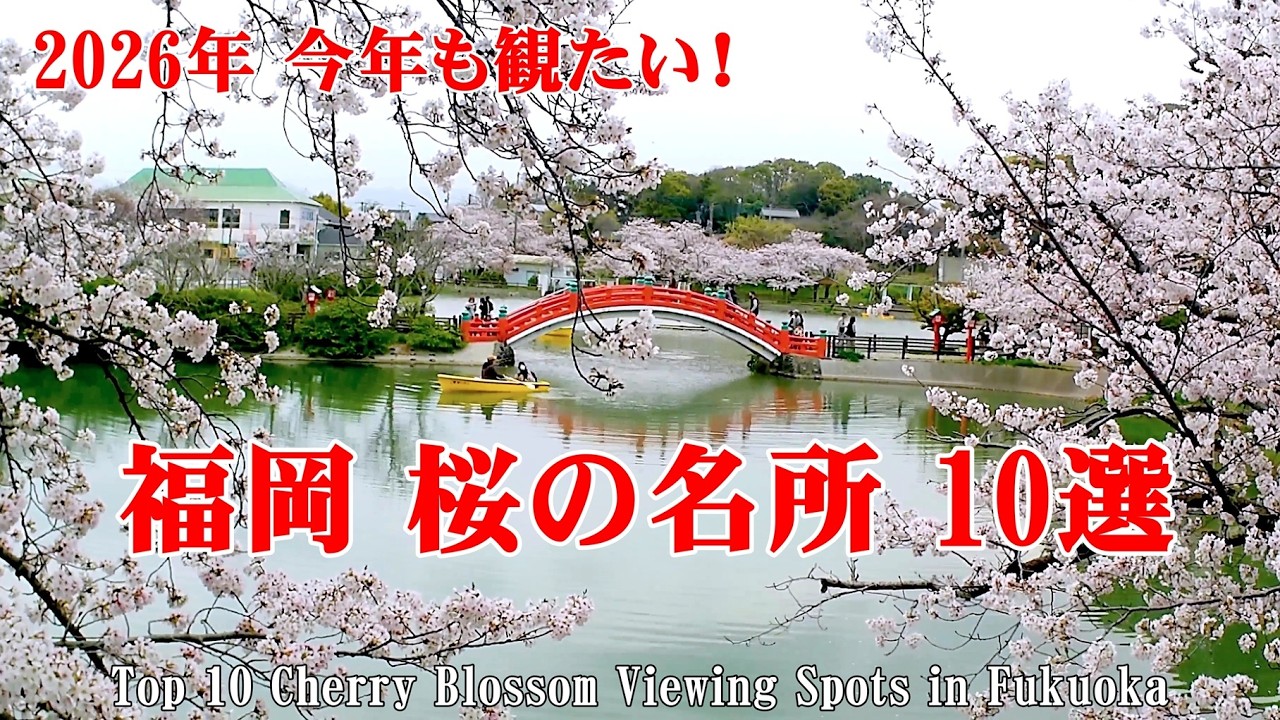 【福岡】今年も見たい！福岡の桜名所　10選