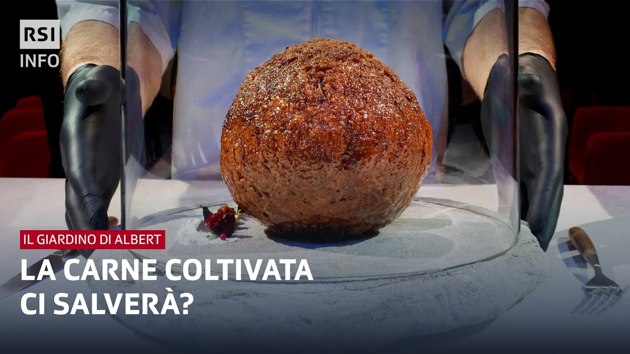 La carne coltivata ci salver&agrave;? | Il Giardino di Albert | RSI Info