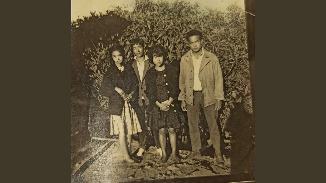 Damlai Hringnun